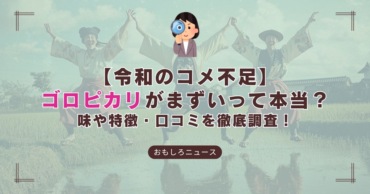 群馬県産米「ゴロピカリ」の炊き立てご飯とおにぎりのイメージ